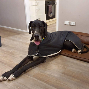 Custom Made - Waterproof Dog Coat - Regular Design