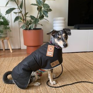 Custom Made - Waterproof Dog Coat - Regular Design