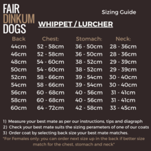 Waterproof Dog Coat / Italian Greyhound, Whippet & Lurcher Designs / Cool Cotton Lining