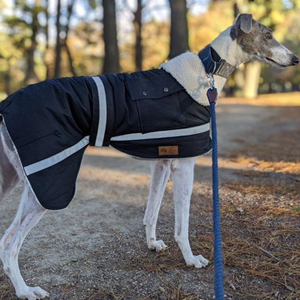 Grey Hound Waterproof dog coat - collar design- Reflective strips