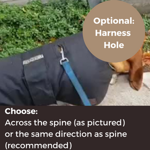 Grey Hound Waterproof dog coat - Harness hole