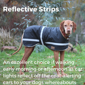 Waterproof dog coat - Regular design - reflective strips