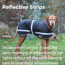 Load image into Gallery viewer, Grey Hound Waterproof dog coat - Reflective Strips