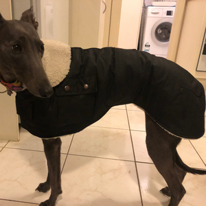 WHIPPET waterproof Coat with pocket