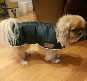 Waterproof dog coat - Regular design - small dog