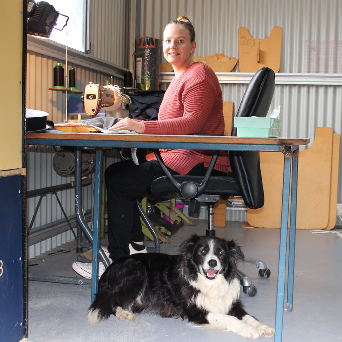 3# Reasons to have a Pet on Staff