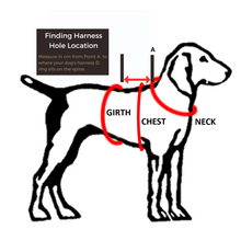 Load image into Gallery viewer, Custom Made - Waterproof Dog Coat - Regular Design