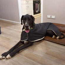 Load image into Gallery viewer, Custom Made - Waterproof Dog Coat - Regular Design