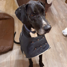 Load image into Gallery viewer, Custom Made - Waterproof Dog Coat - Regular Design