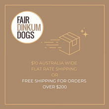 Load image into Gallery viewer, Waterproof Dog Coat / Regular Design / Cool Cotton Lining