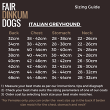 Load image into Gallery viewer, Sizing guide of Dog coat for your Italian Grey Hound