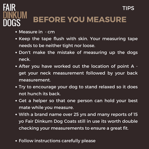 Instructions for Before Measurement 