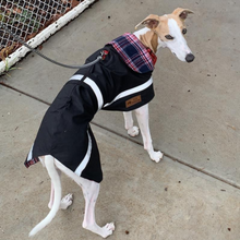 Load image into Gallery viewer, Whippet  Waterproof dog coat - Collar design - Cotton lining with harness hole