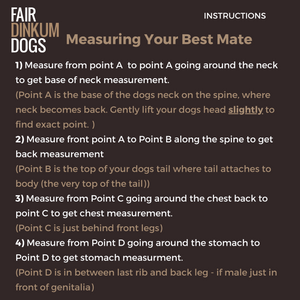 Instruction for measuring your Best Mate