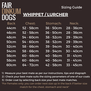 Sizing Guide for your Whippet / Lurcher Best mate