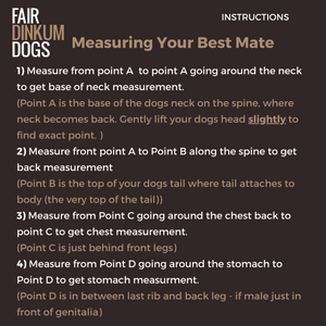 Measurement Instructions