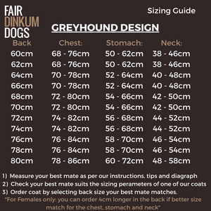 Sizing Guide for Your GreyHound Best Mate