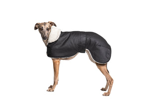 Lurcher Waterproof dog coat - Collar design