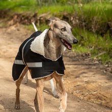 Load image into Gallery viewer, Whippet / Lurcher / Italian Greyhound Waterproof dog coat - Collar design - Reflective Strips