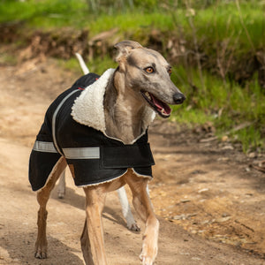 Whippet / Lurcher / Italian Greyhound Waterproof dog coat - Collar design - Reflective Strips