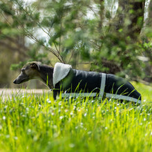 Load image into Gallery viewer, Whippet / Lurcher / Italian Greyhound Waterproof dog coat - Collar design - Reflective Strips