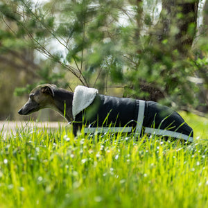 Whippet / Lurcher / Italian Greyhound Waterproof dog coat - Collar design - Reflective Strips