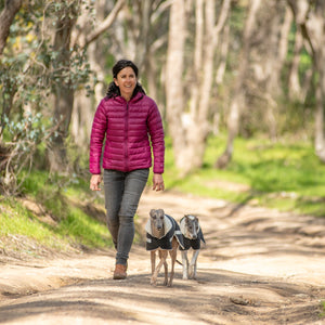 Elise Fair Dinkum Dogs Whippet / Lurcher / Italian Greyhound Waterproof dog coat - Collar design