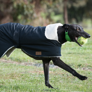 Grey Hound Waterproof dog coat - collar design