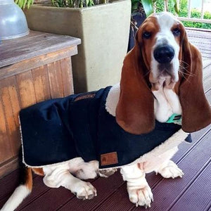 Waterproof Dog Coat - Collar Design