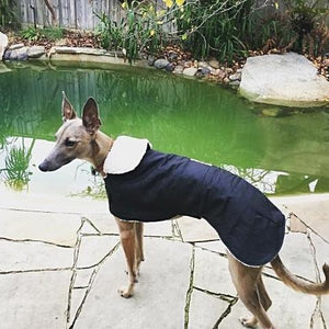 Grey Hound Waterproof dog coat - collar design