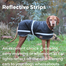 Load image into Gallery viewer, Waterproof Dog Coat / Collar Design / Cool Cotton Lining