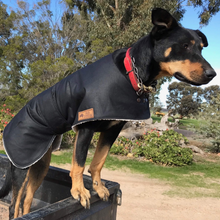 Load image into Gallery viewer, Waterproof dog coat - Regular design