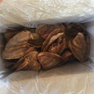 Australian made Pig Pork dried ears in a box