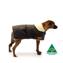Load image into Gallery viewer, Waterproof Dog Coat - Collar Design