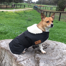 Load image into Gallery viewer, Custom made Waterproof Dog Coat - Collar Design