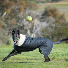 Load image into Gallery viewer, Grey Hound Waterproof dog coat - collar design