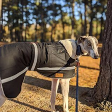 Load image into Gallery viewer, Grey Hound Waterproof dog coat - collar design - Reflective strips