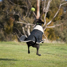 Load image into Gallery viewer, Grey Hound Waterproof dog coat - collar design