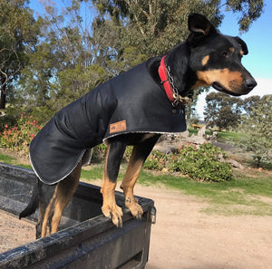 Waterproof Dog Coat  / Regular Design / Warm Sherpa Fleece Lining