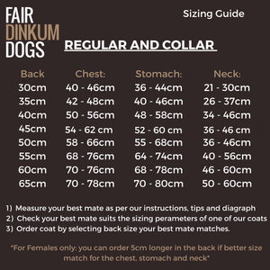 Waterproof Dog Coat  / Collar Design / Warm Sherpa Fleece Lining