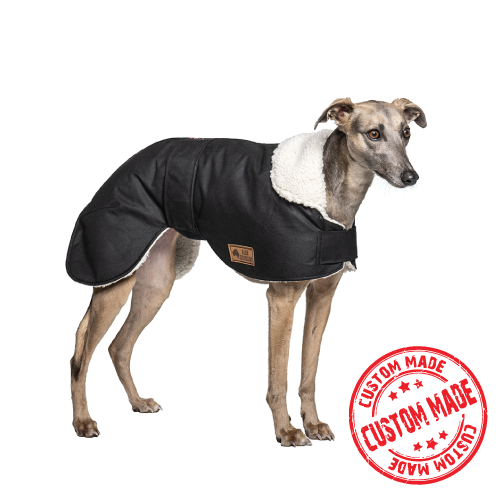 Whippet -Waterproof dog coat - custom collar