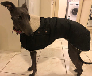 Waterproof Dog Coat - Optional Extras